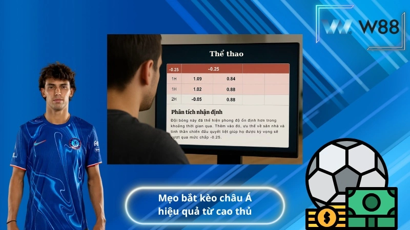Mẹo bắt kèo châu Á hiệu quả từ cao thủ