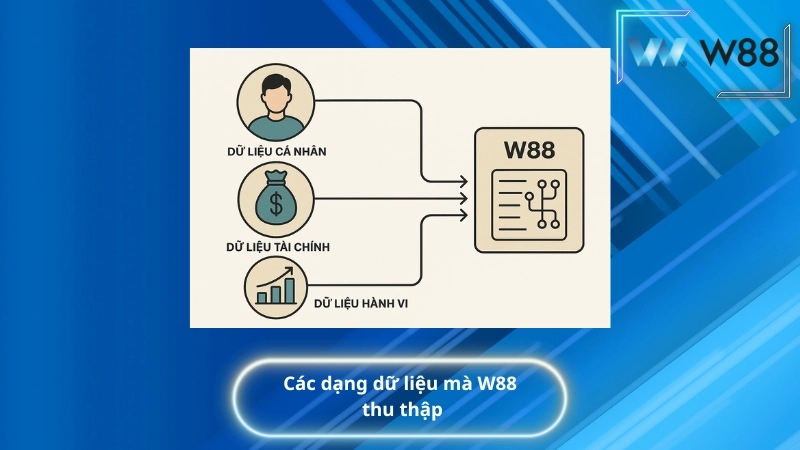 Các dạng dữ liệu mà W88 thu thập
