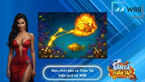 Mẹo chơi bắn cá Thần Tài hiệu quả tại W88