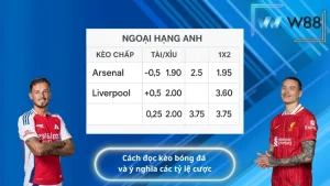 Cách đọc kèo bóng đá và ý nghĩa các tỷ lệ cược