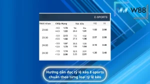 Hướng dẫn đọc tỷ lệ kèo E-sports chuẩn theo từng loại tỷ lệ kèo